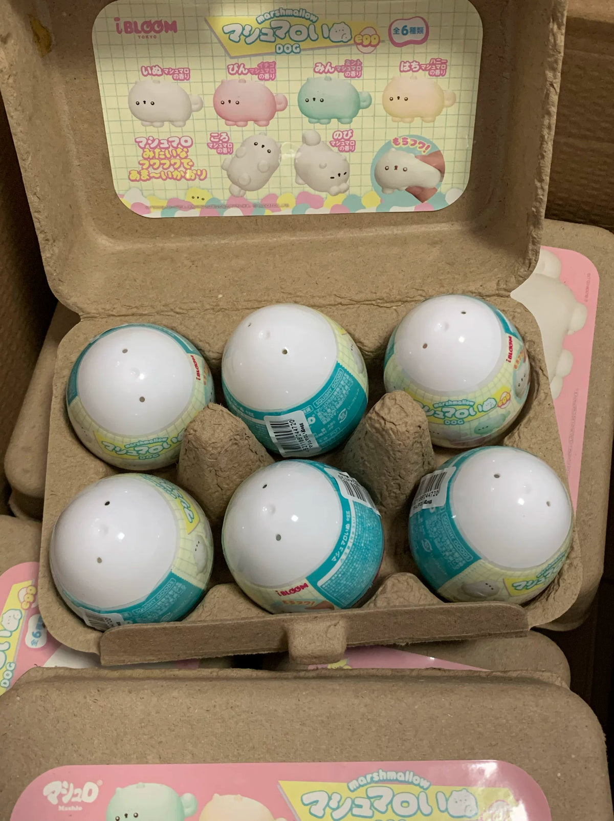 ibloom Blind Egg Bunny