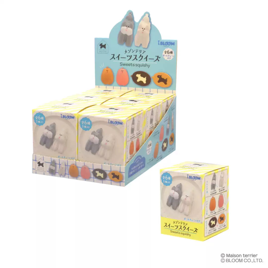 ibloom Blind Box 81179