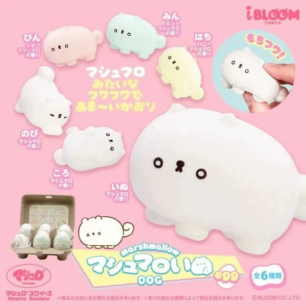 ibloom Blind Egg Bunny